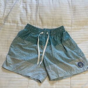 Chubbies Teal and White Patterned Men's Shorts 5.5 inseam